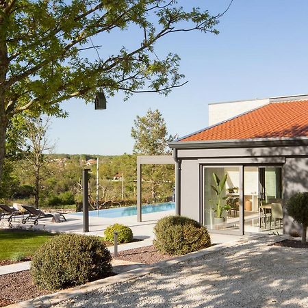 Villa Artemis Sveti Petar u Sumi Extérieur photo